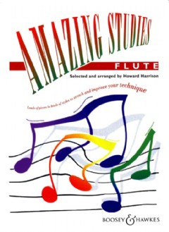 Amazing Studies Flute