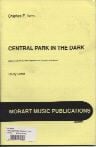 Central Park In The Dark