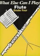 What Else Can I Play? Flute Grade 4