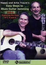 Easy steps to blues guitar jamming 2 DVD