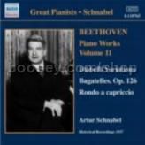Piano Works vol.11 (Naxos Audio CD)