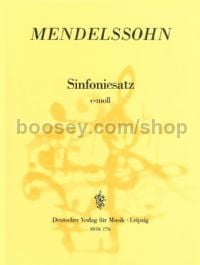 Sinfoniesatz in C minor - string ensemble (score)