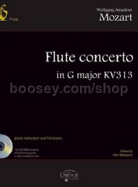 Flute Concerto Kv313