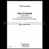 Meteoroid