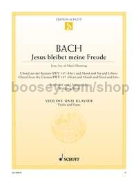 Jesu, Joy of Man's Desiring BWV 147 - violin & piano