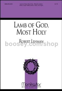 Lamb of God, Most Holy