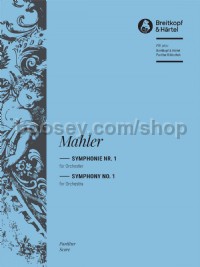 Symphony No. 1 (Orchestra)