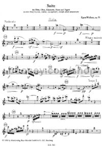 Suite (Flute) -Digital Sheet Music